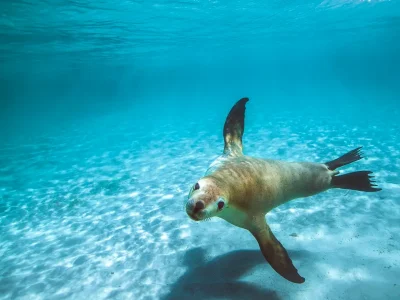 Meis Adası - meisisland.com